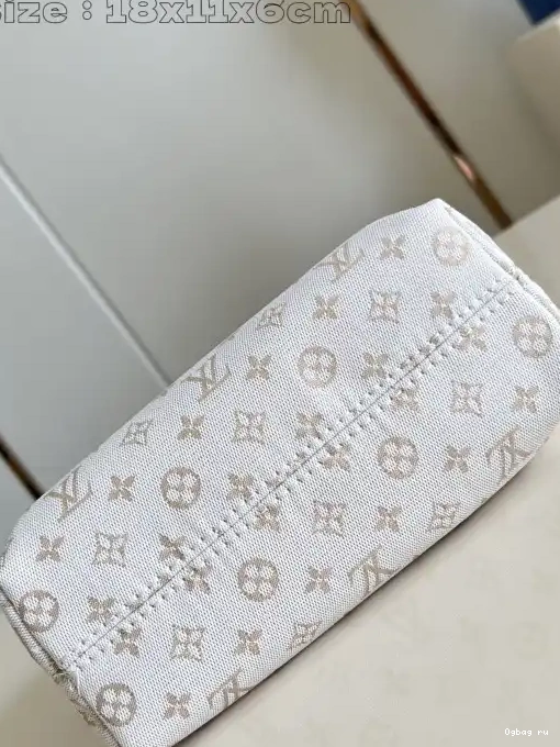 Hills Vuitton Pochette Louis 0327